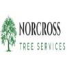 Norcross Tree Services