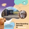 Peace of Mind for Pet Owners: Best Boarding Kennels in Somerset!