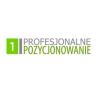 Profesjonalne Pozycjonowanie