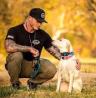 Service Dog Training Tampa Fl