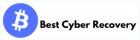 Welcome to Best Cyber Recovery Services
