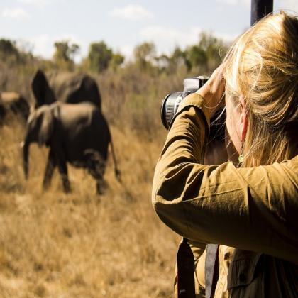 All-Inclusive Safari Holidays with Lights On Africa Destinations & Safaris