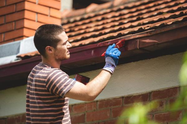 Allied Painters Inc