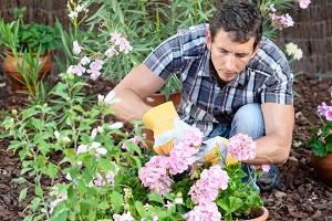 Ava Gardening
