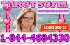 Best psychics and tarot readers
