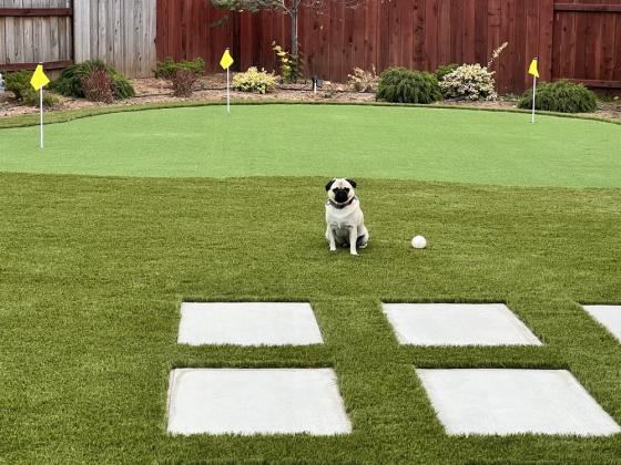 Big Bully Turf