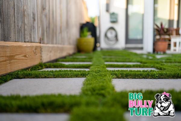 Big Bully Turf