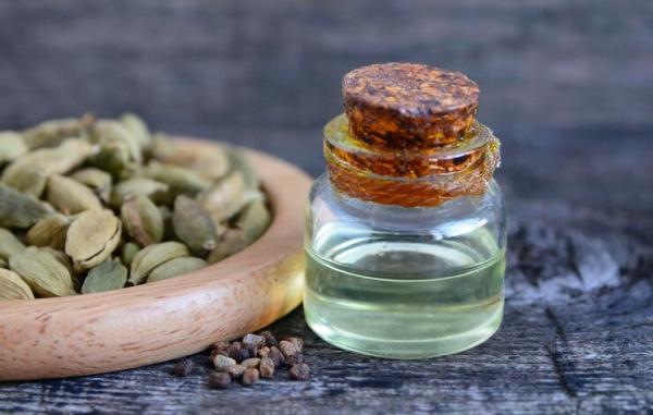 Bulk CO2 Extracted Cardamom Essential Oil – The Bulk Cart