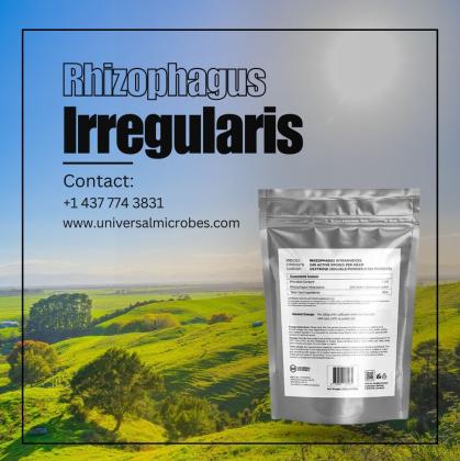 Buy High-Quality Rhizophagus Intraradices Mycorrhizal Fungi Online
