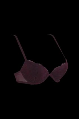 Buy luxury online padded bra for women – Sheluxe Fashion – Premium Quality & Perfect Fit