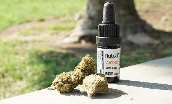 Buy Rick Simpson Oil in the UK – Effective Cannabis Oil for Pain Relief and More