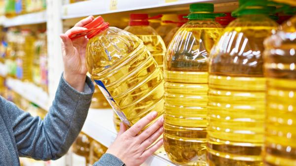 Can Seed Oils be the Reason for Mental Illness? See Facts Here!