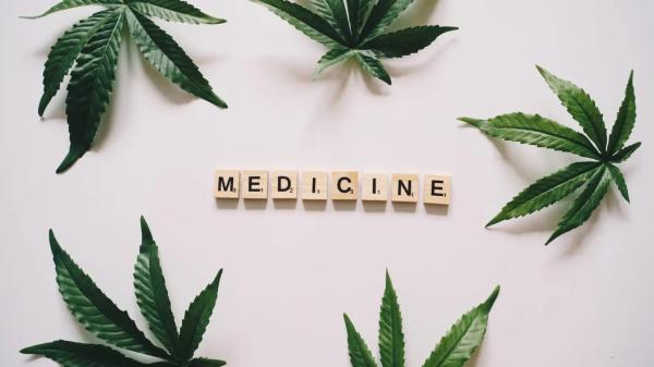 Cheapest Medical Marijuana Card online
