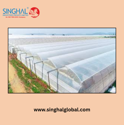 Choosing the Best Greenhouse Film for Optimal Crop Growth