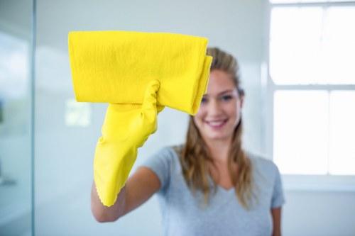 Domestic Cleaners