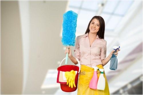 Domestic Cleaners