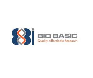 Effective Liquid Antibiotics for Fast Recovery