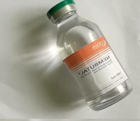 email address :dsmithsusie6@gmail.com.BUY NEMBUTAL pentobarbital Sodium FOR SALE ONLINE  TELEgram @maddison213 Whatsapp: +14784120391.