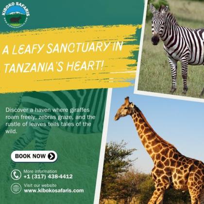 Embark on the Ultimate Tanzania Safari Tour