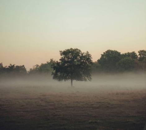 Empty Properties in London - Listings & Opportunities