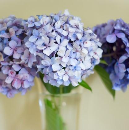 Enhance Your Wellbeing with Virtual Mental Health Counseling in Stuttgart | Deborah Dennis