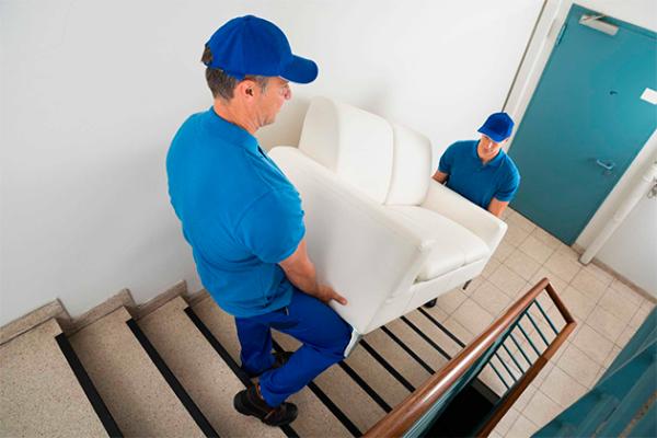 Expert Furniture Removals in Auckland: Safe, Efficient, and Reliable Service