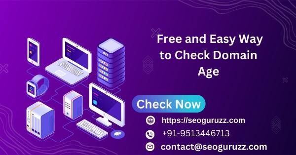 Free and Easy Way to Check Domain Age