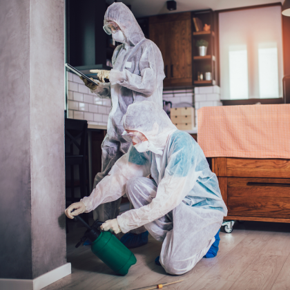 Friendly Pest Control Toorak