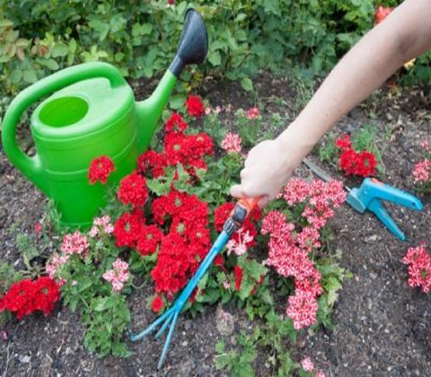 Garden Landscapes