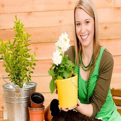 Garden Maintenance