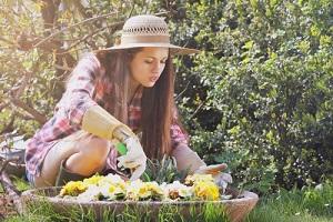 Gardener London
