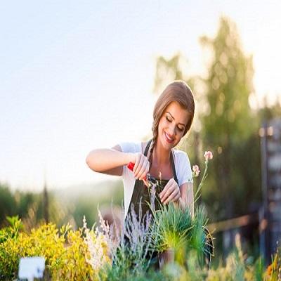 Gardeners World Team