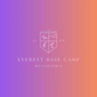 Glamping Near Rishikesh - EBC Mussoorie