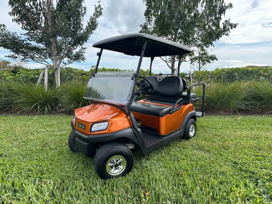 Golf Cart Monkey
