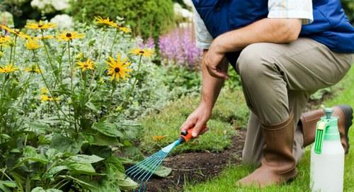 Grass Cutting