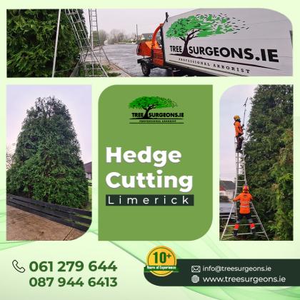 Hedge cutting Service: Limerick