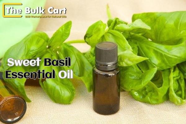 High-Quality Sweet Basil Essential Oil from The Bulk Cart
