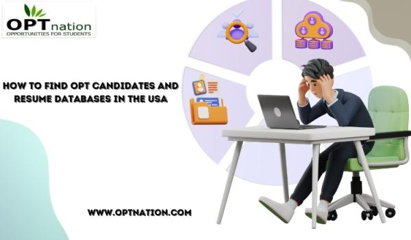 How to Find OPT Candidates and Resume Databases in the USA