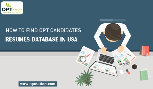 How to find OPT candidates resumes database in USA