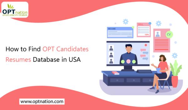 How to find OPT  Candidates Resumes in USA?