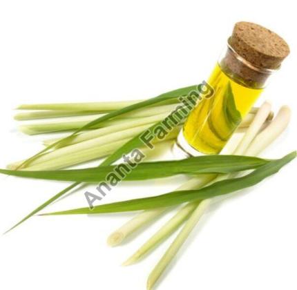 Lemon Grass Oil Supplier