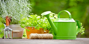 Local Gardener