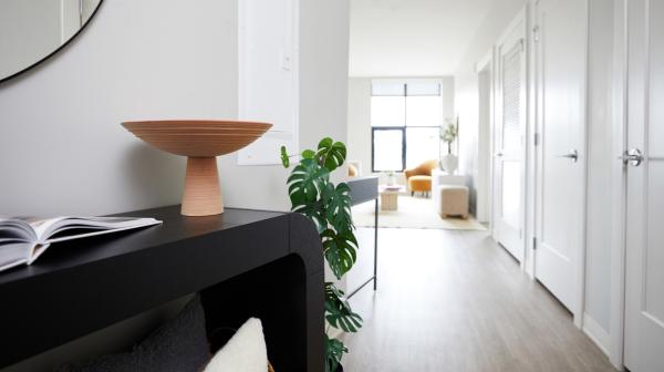 Luxury Apartments in South Boston – Discover Your New Home at South Standard