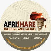Luxury Tanzania Safari Accommodation: Top Resorts for an Unforgettable Wildlife Experience