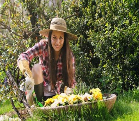Mikes Gardeners