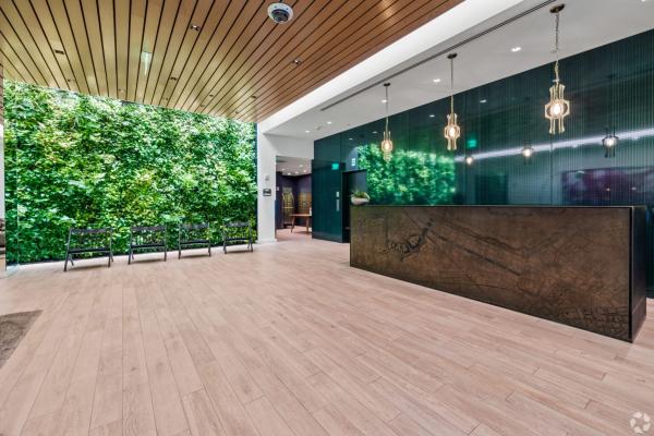 Modern Apartments in Boston, MA – Find Your Perfect Home
