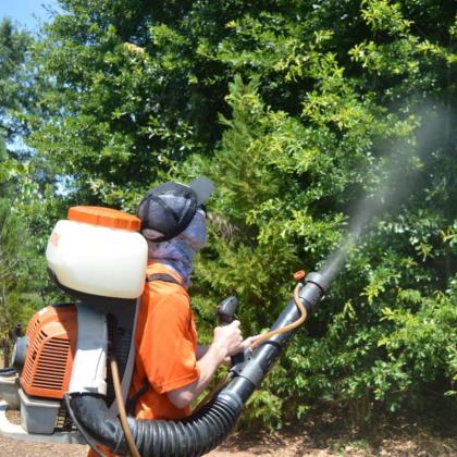 Mosquito System