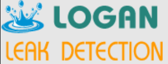 Need Shower Leak Detection in Logan?