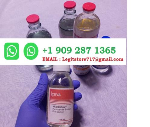 Nembutal online kaufen Whatsapp +44.7916.076425