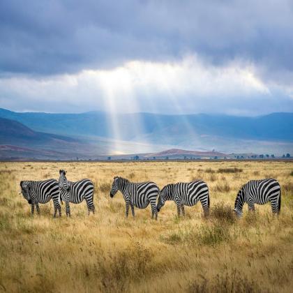 Ngorongoro Crater Awaits You – Book with Fair Tanzania Safaris